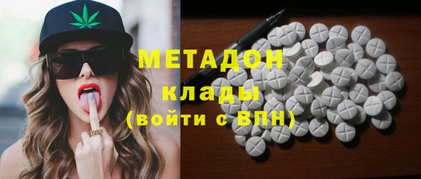 прущие грибы Мегион