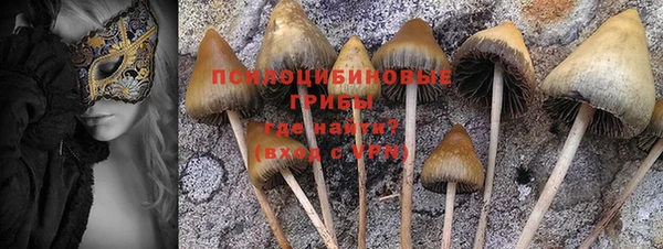 PSILOCYBIN Лихославль