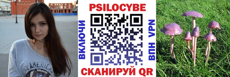 shop состав  Надым  Псилоцибиновые грибы Psilocybe 