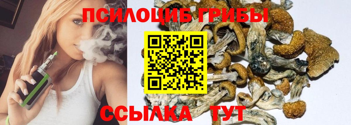 Псилоцибиновые грибы Cubensis Надым
