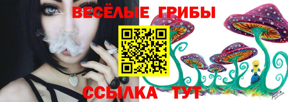 Псилоцибиновые грибы Psilocybe Надым