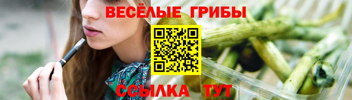 где купить наркотик  Вход с VPN  Надым  Галлюциногенные грибы Psilocybe 