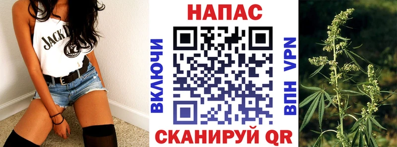 Бошки Шишки план  Надым 